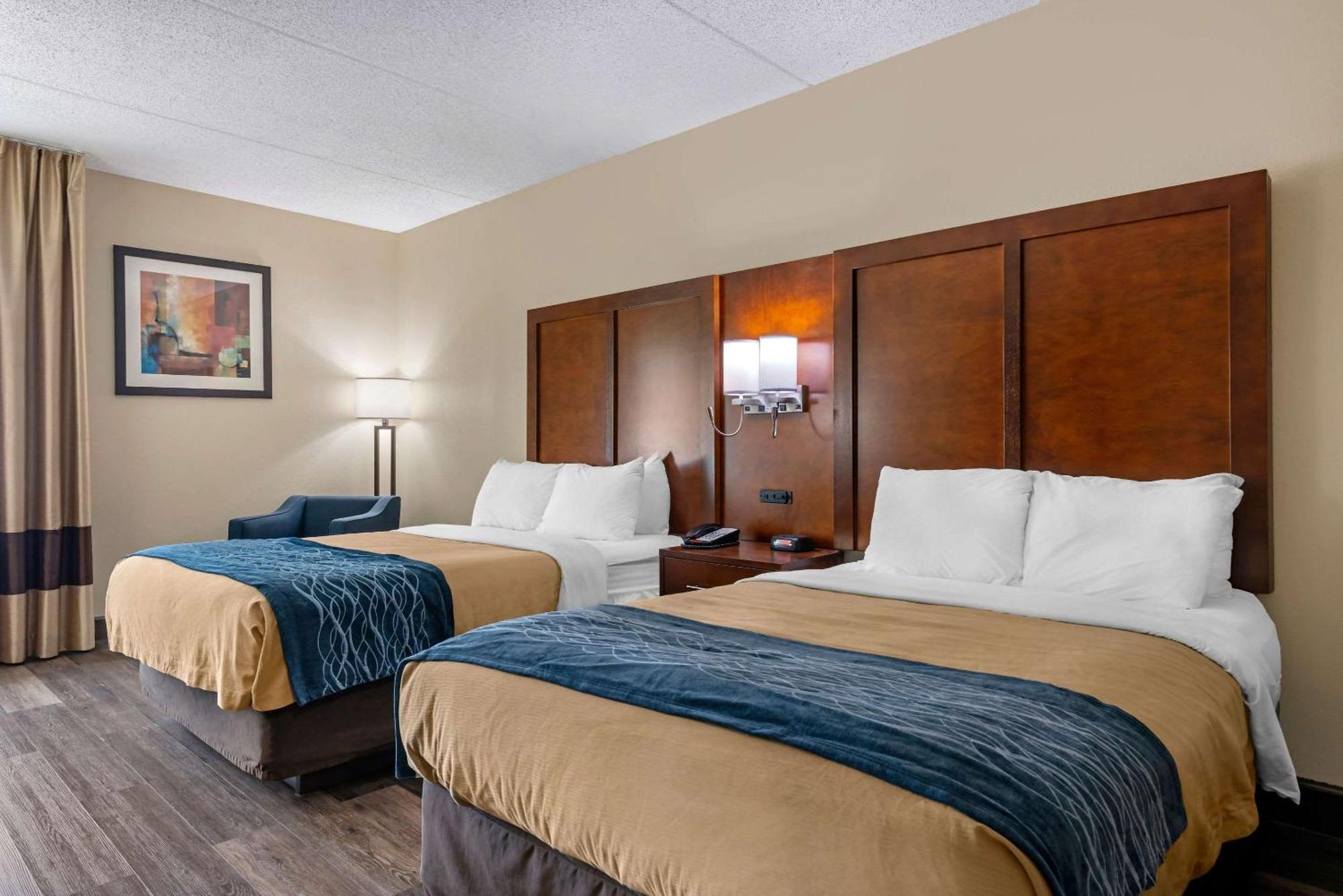 Comfort - Fernandina